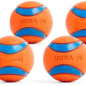 Pet Supplies  Chuckit! Ultra Ball Dog Toy - Medium Bouncy Fetch Balls For Dogs 20-60 lbs - Made from Durable Rubber - Floating Water Pet Toys - Size Medium - 2.5-inch Diameter - Pack of 4 :