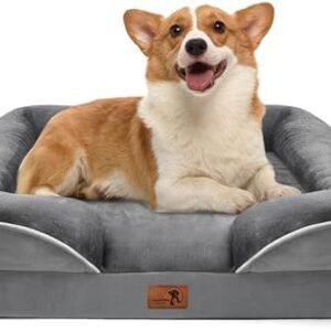 Spotted Play Orthopedic Dog Bed with Sides - Dog Sofa Beds for Medium Dogs, Supportive Foam Pet Couch Bed with Washable Removable Cover, Waterproof Lining and Non-Slip Bottom, Grey - M : Pet Supplies
