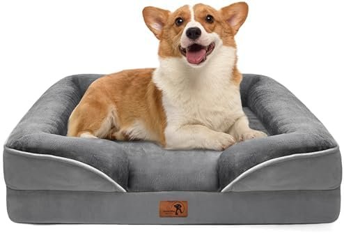 Spotted Play Orthopedic Dog Bed with Sides - Dog Sofa Beds for Medium Dogs, Supportive Foam Pet Couch Bed with Washable Removable Cover, Waterproof Lining and Non-Slip Bottom, Grey - M : Pet Supplies