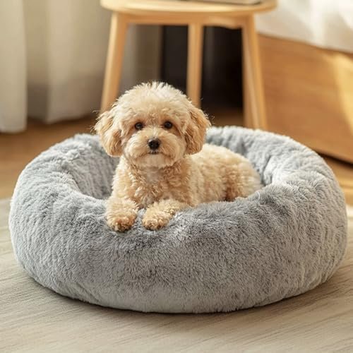 JOLLYVOGUE Small Dog Bed, Calming Dog Beds for Small Dogs & Indoor Cats - 20 Inches Donut Washable Cat Bed for Kittens & Puppies, Round Fluffy Plush Faux Fur Pet Beds(Smoke Grey) : Pet Supplies