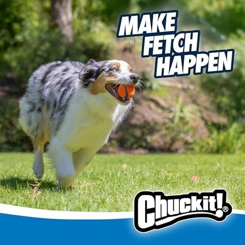 Pet Supplies Chuckit! Ultra Ball Dog Toy - Medium Bouncy Fetch Balls For Dogs 20-60 lbs - Made from Durable Rubber - Floating Water Pet Toys - Size Medium - 2.5-inch Diameter - Pack of 4 : - Image 11