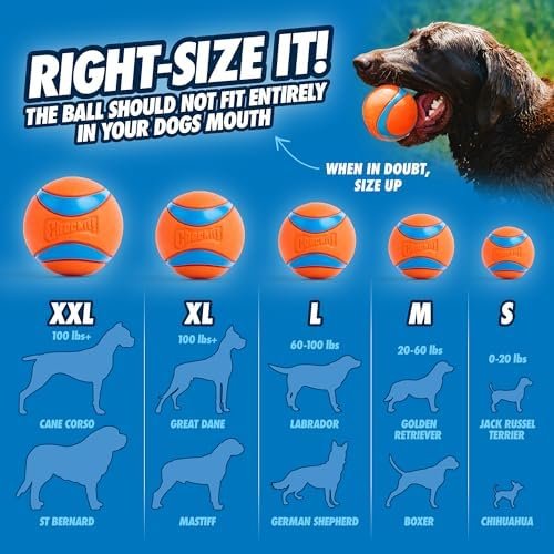 Pet Supplies Chuckit! Ultra Ball Dog Toy - Medium Bouncy Fetch Balls For Dogs 20-60 lbs - Made from Durable Rubber - Floating Water Pet Toys - Size Medium - 2.5-inch Diameter - Pack of 4 : - Image 3