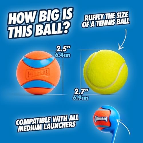 Pet Supplies Chuckit! Ultra Ball Dog Toy - Medium Bouncy Fetch Balls For Dogs 20-60 lbs - Made from Durable Rubber - Floating Water Pet Toys - Size Medium - 2.5-inch Diameter - Pack of 4 : - Image 2