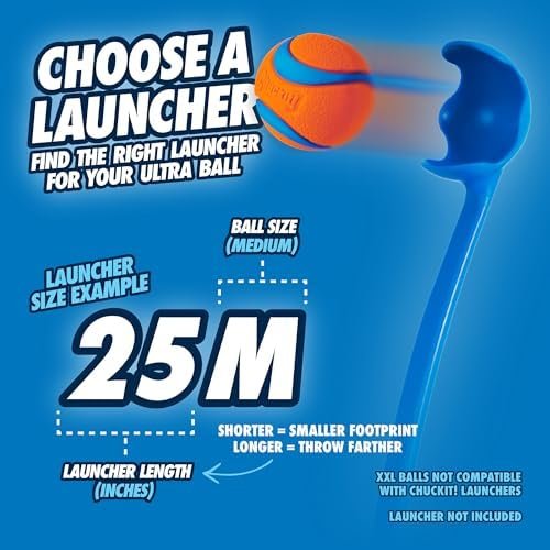 Pet Supplies Chuckit! Ultra Ball Dog Toy - Medium Bouncy Fetch Balls For Dogs 20-60 lbs - Made from Durable Rubber - Floating Water Pet Toys - Size Medium - 2.5-inch Diameter - Pack of 4 : - Image 10